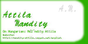 attila mandity business card